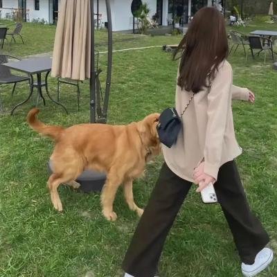 走出大墙的人 在线观看